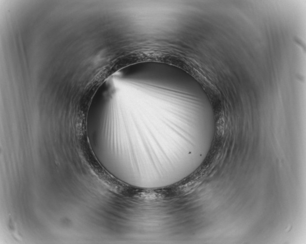 X0000094960464200712201204