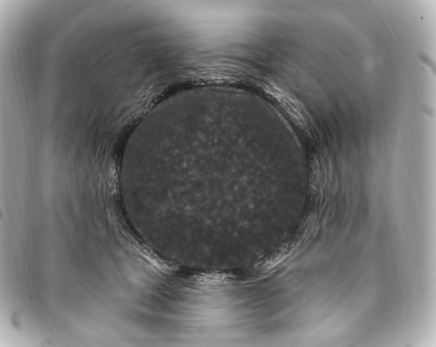 X0000094960465200712201204