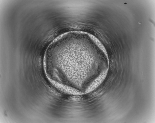 X0000094960466200712201204