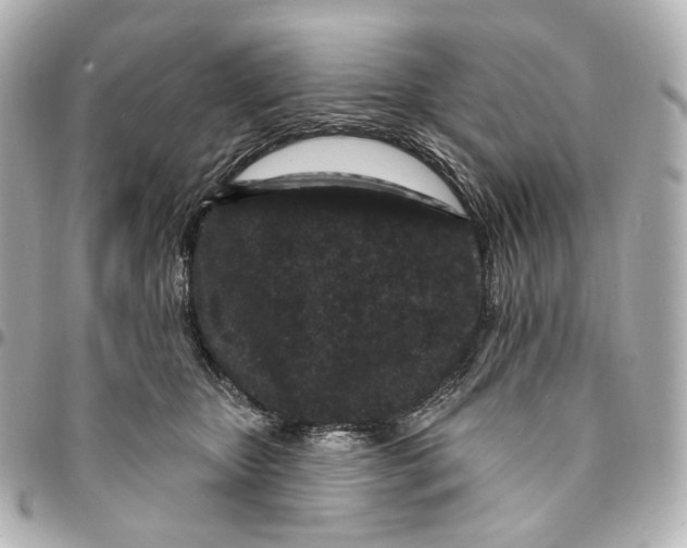 X0000094960467200712201204