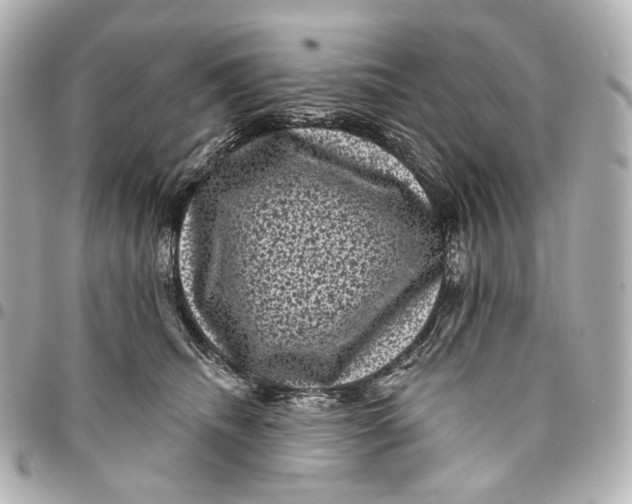 X0000094960468200712201204