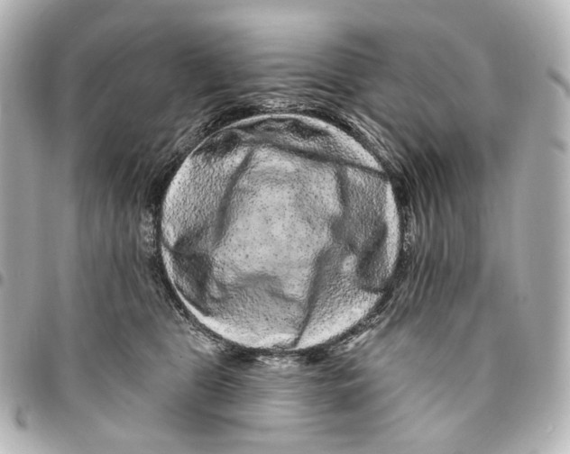 X0000094960469200712201204