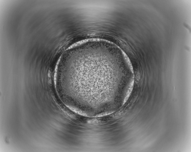 X0000094960470200712201204