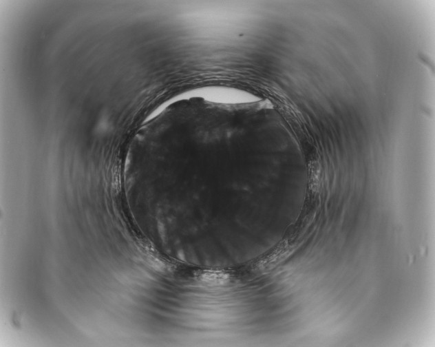 X0000094960471200712201204