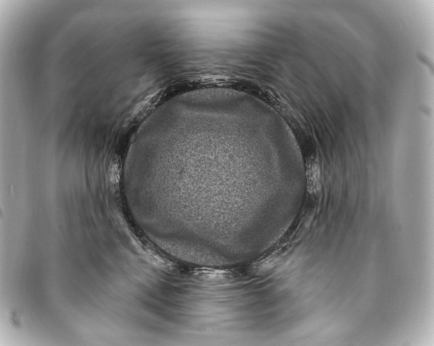 X0000094960472200712201204