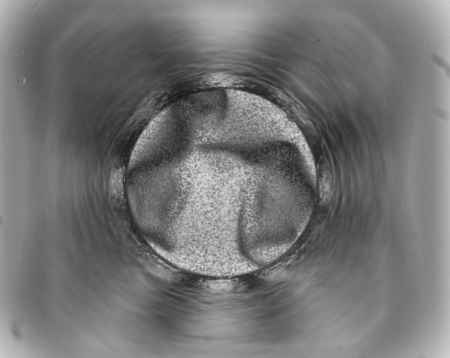 X0000094960473200712201204