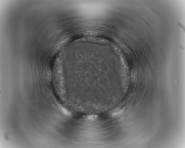 X0000094960474200712201204