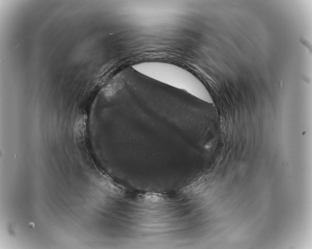 X0000094960475200712201204