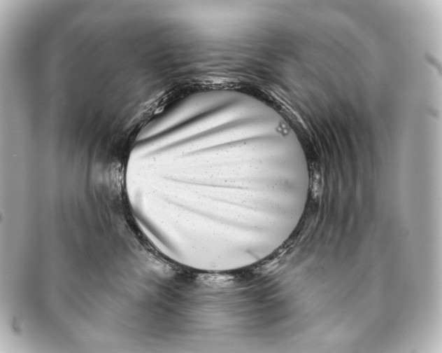 X0000094960476200712201204