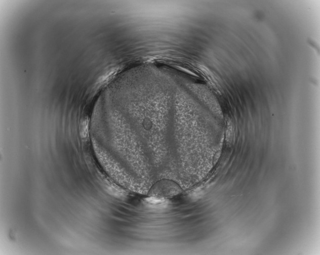 X0000094960477200712201204