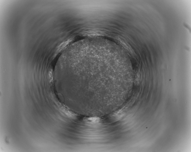 X0000094960478200712201204