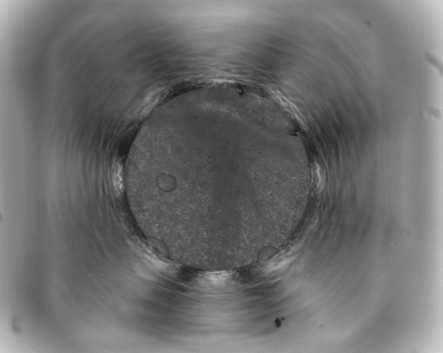 X0000094960479200712201204