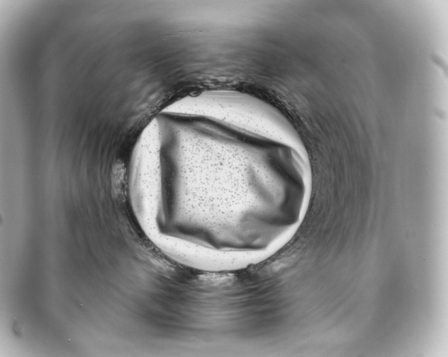 X0000094960480200712201204