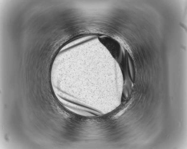 X0000094960481200712201204