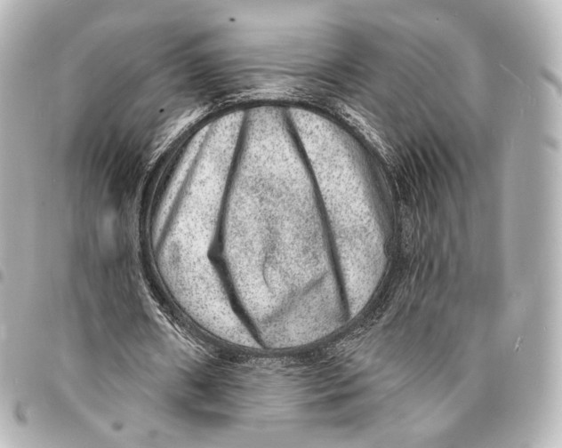 X0000094960482200712201204