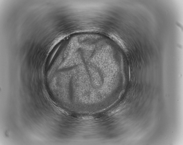 X0000094960483200712201204