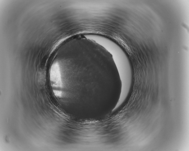 X0000094960484200712201204