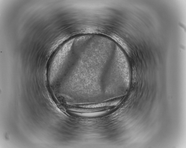 X0000094960485200712201204