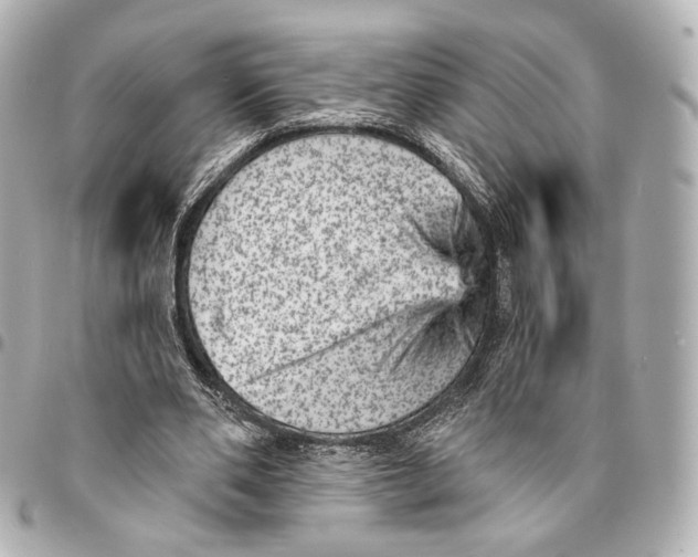 X0000094960486200712201204