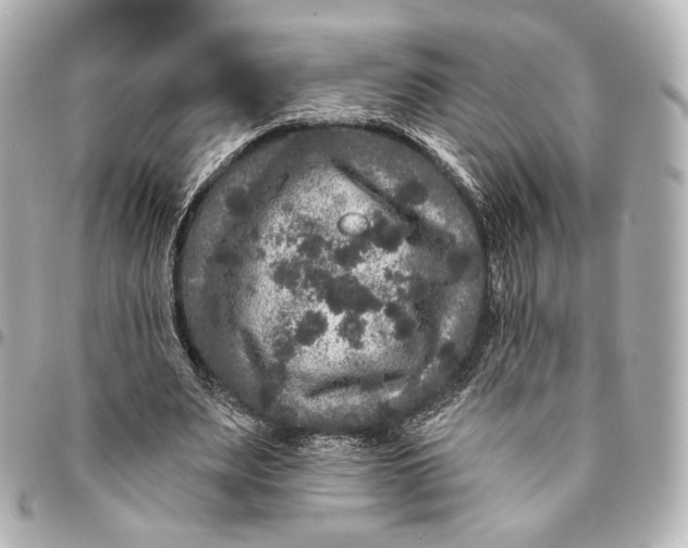 X0000094960487200712201204