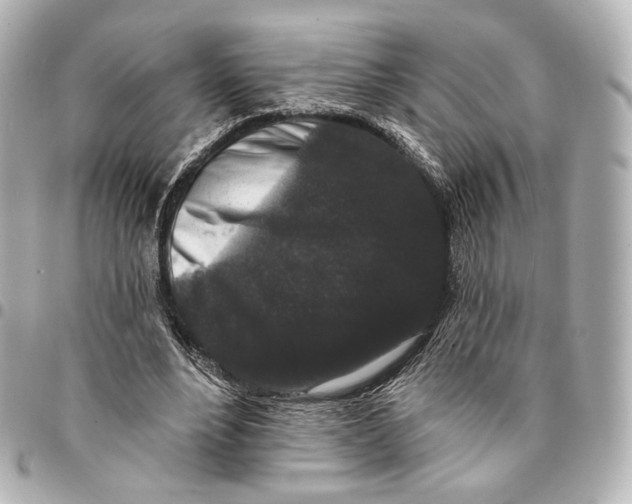 X0000094960488200712201204