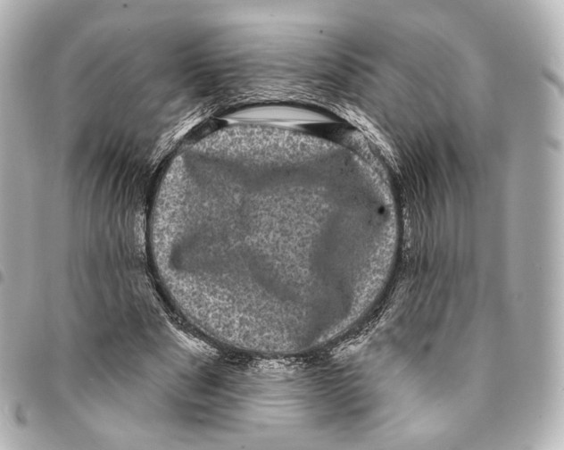 X0000094960489200712201204