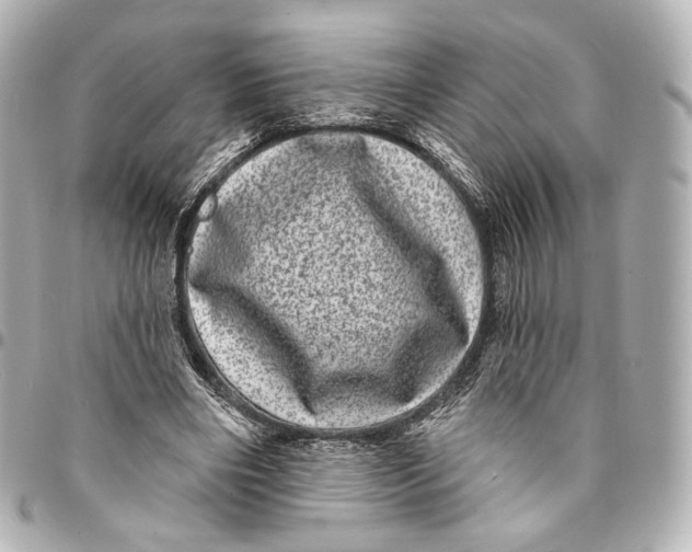 X0000094960490200712201204