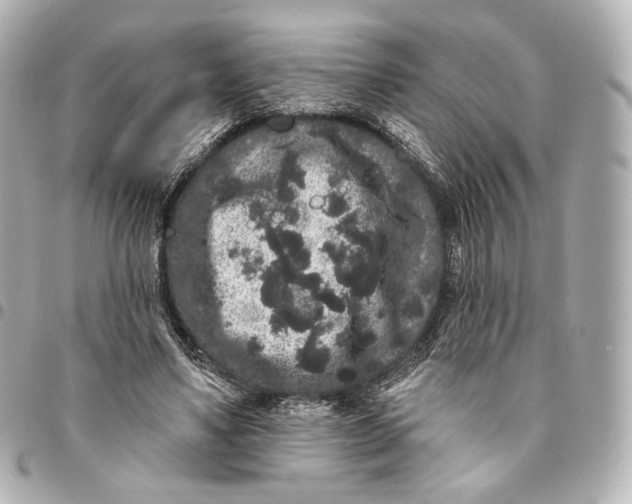 X0000094960491200712201204