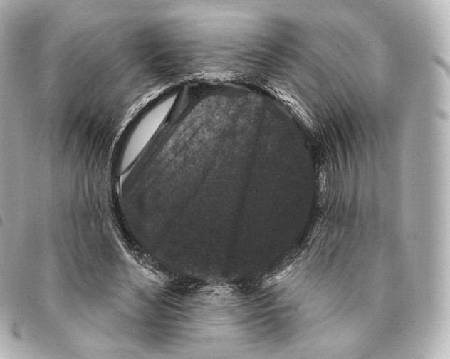 X0000094960492200712201204