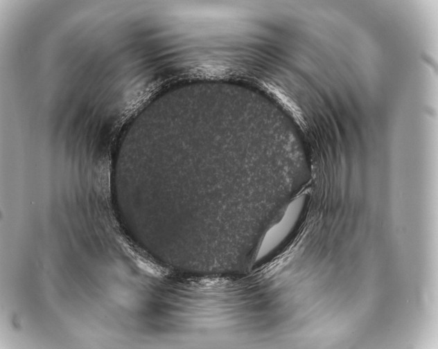 X0000094960493200712201204