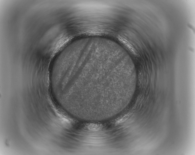 X0000094960494200712201204