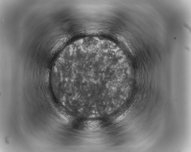 X0000094960495200712201204