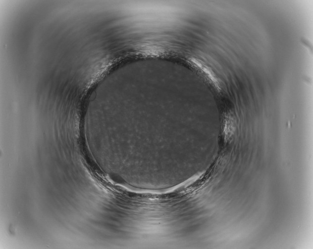 X0000094960496200712201204