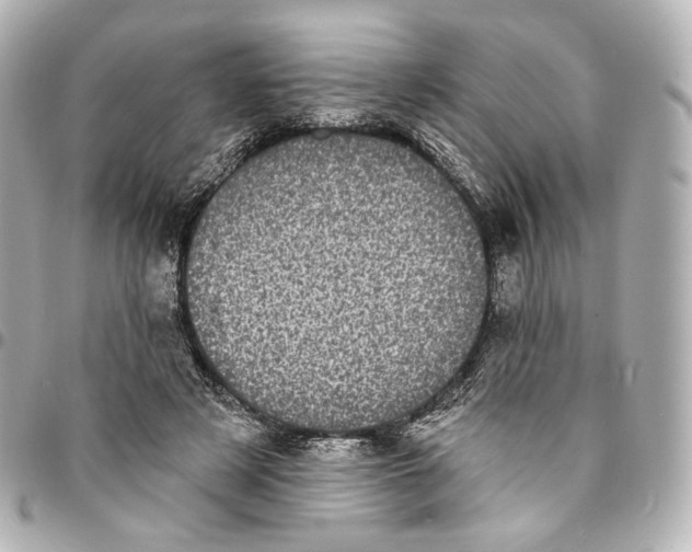 X0000094960497200712201203