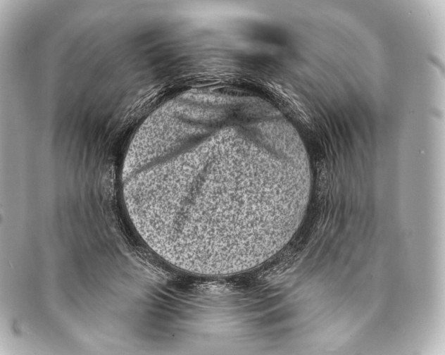 X0000094960498200712201203