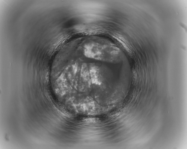 X0000094960499200712201203