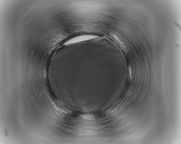 X0000094960500200712201203