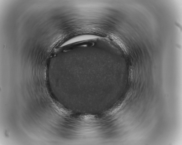 X0000094960501200712201203