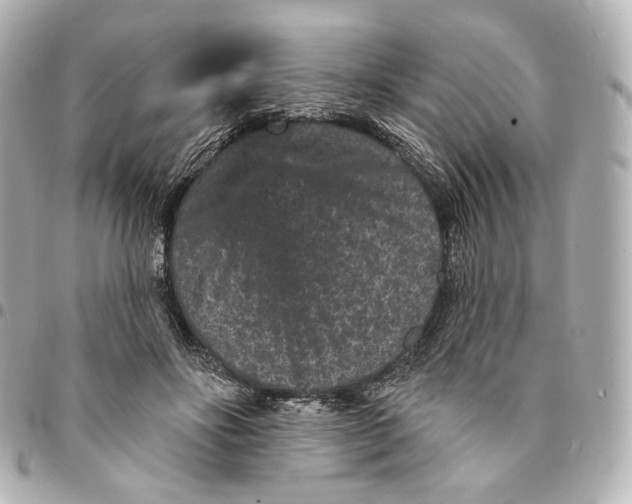 X0000094960502200712201203