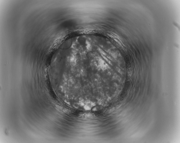 X0000094960503200712201203