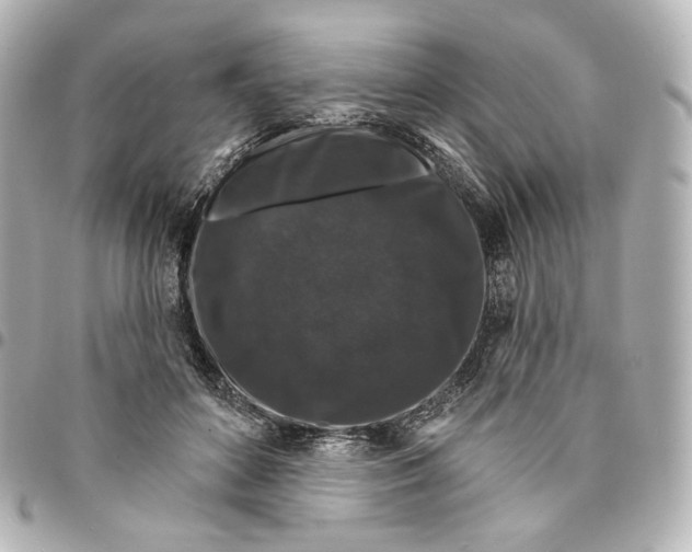 X0000094960504200712201203