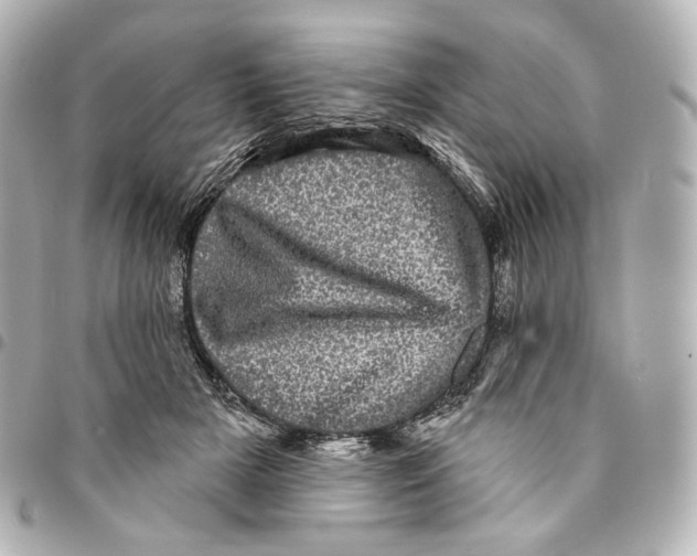 X0000094960505200712201203