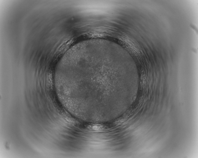 X0000094960506200712201203