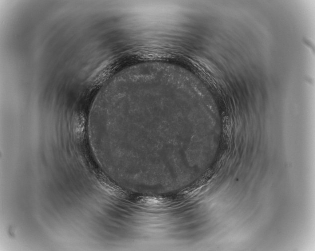 X0000094960507200712201203