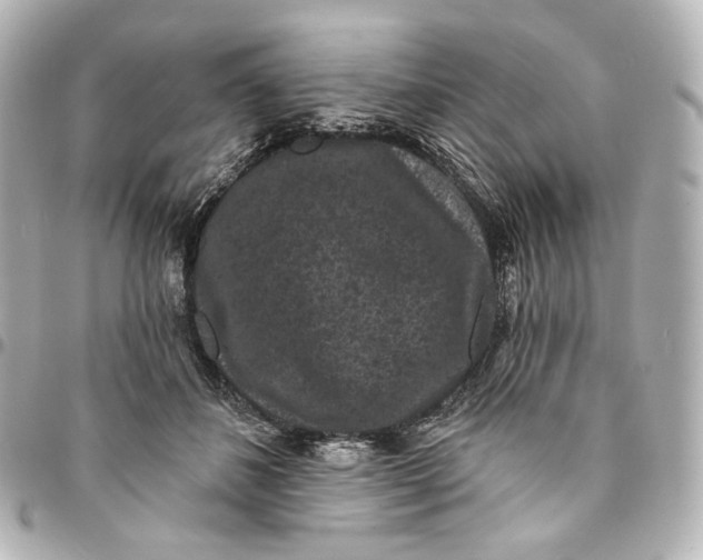 X0000094960508200712201203