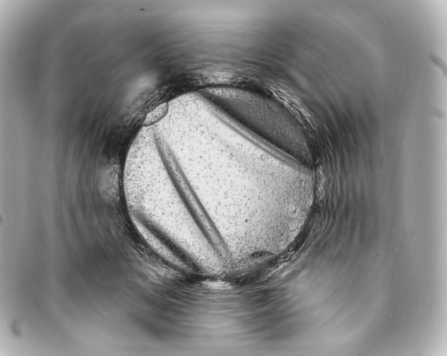 X0000094960509200712201203