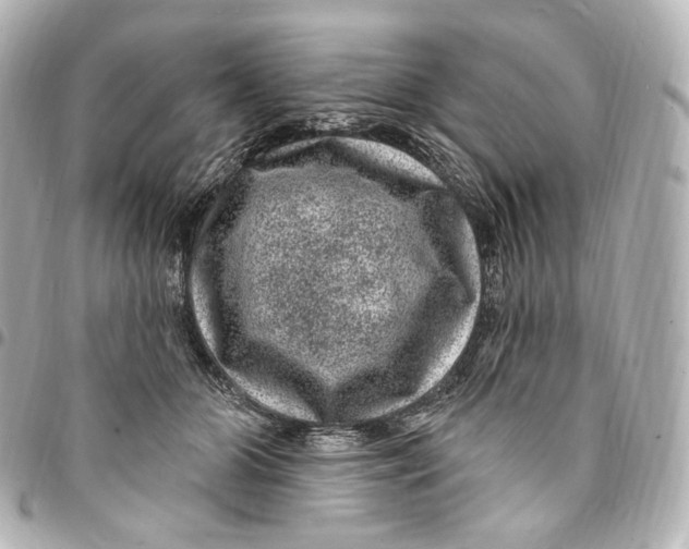 X0000094960510200712201203