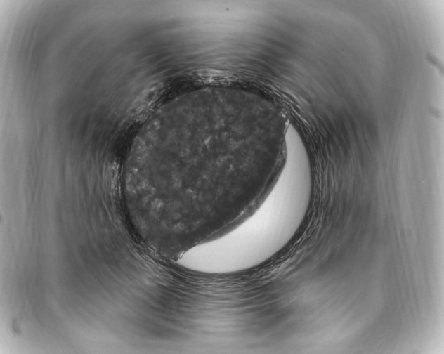 X0000094960511200712201203