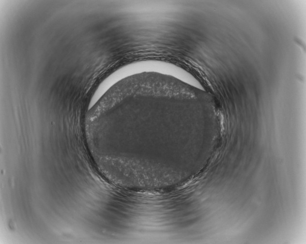 X0000094960512200712201203