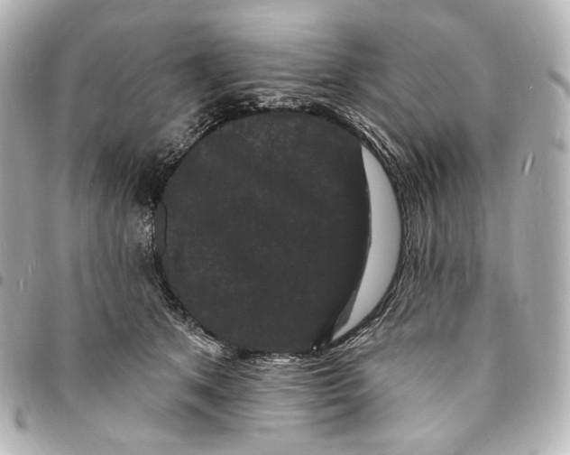 X0000094960513200712201203